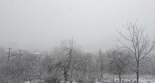 ოზურგეთში დილიდან თოვს