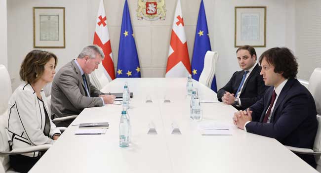 ირაკლი კობახიძე აშშ-ს ელჩს შეხვდა: “ამერიკული მხარე კრიტიკულ ზღვარს მიუახლოვდა”
