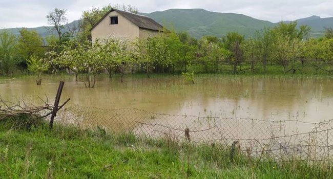 დატბორილი სახლები და დახოცილი შინაური ფრინველი- სკრაში მტკვარი ადიდდა