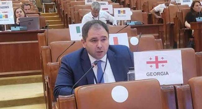 “სამშვიდობო პროცესის დარეგულირება ვერ ხდება”- ნიკოლოზ სამხარაძე ეუთო-ზე