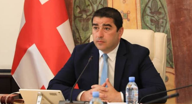 პაპუაშვილი: სურათის წარმოჩენა, თითქოს პარლამენტი არ მუშაობს, ჩვენი საზოგადოების შეცდომაში შეყვანაა