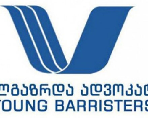 პოლიტიკური ვარიაციების მიღმა, საჭიროა დაიწყოს გამოძიება – „ახალგაზრდა ადვოკატები“