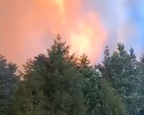 პრემიერმა ხანძრის ჩაქრობის პროცესში თავდაცვის ძალების ჩართვა ბრძანა