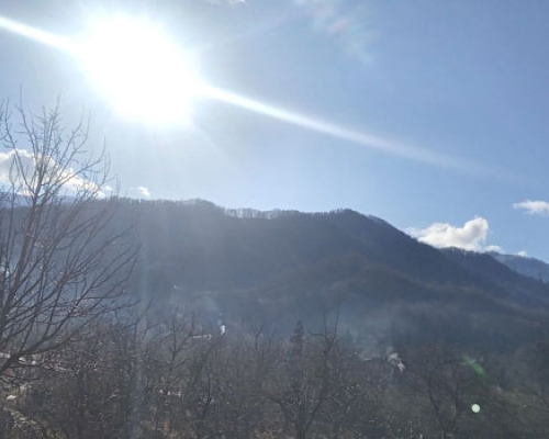 გურიის დილა მიწისძვრის შემდეგ: „მზევ, შინ შემოდიო!“