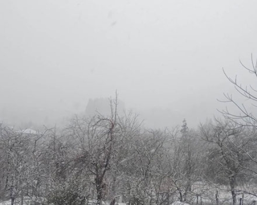 ოზურგეთში დილიდან თოვს