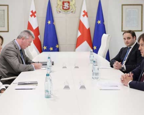 ირაკლი კობახიძე აშშ-ს ელჩს შეხვდა: “ამერიკული მხარე კრიტიკულ ზღვარს მიუახლოვდა”