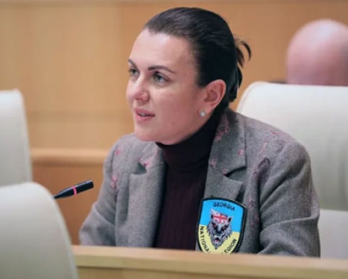 ნონა მამულაშვილს სადეპუტატო უფლებამოსილება შეუწყდა