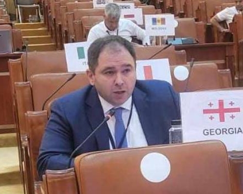 “სამშვიდობო პროცესის დარეგულირება ვერ ხდება”- ნიკოლოზ სამხარაძე ეუთო-ზე