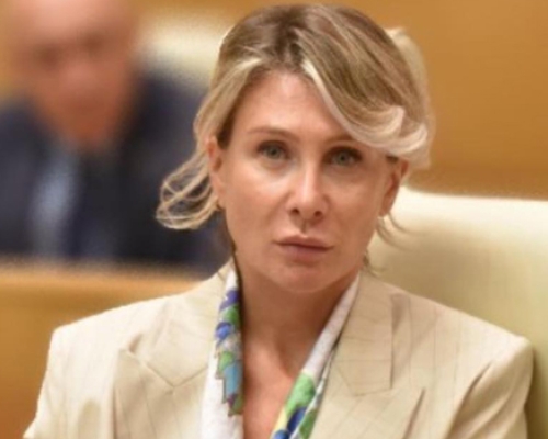ნინო წილოსანი: “ნიკა მელია თუ ხარ, რა ნამუსით უნდა მიმართო ქეთი დუმბაძეს“