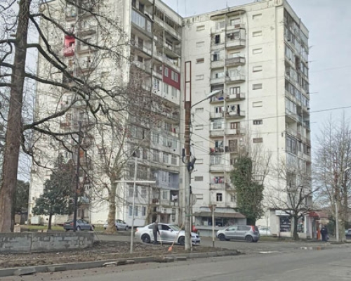 „სირცხვილია, 21-ე საუკუნეში, ზედა სართულებიდან მიცვალებული აყუდებული ჩამოგვყავს“