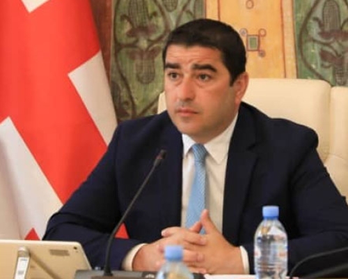პაპუაშვილი: სურათის წარმოჩენა, თითქოს პარლამენტი არ მუშაობს, ჩვენი საზოგადოების შეცდომაში შეყვანაა
