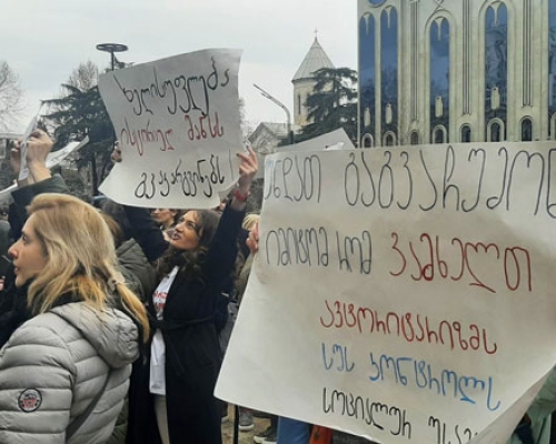 “ჩვენმა ხმამ უნდა შეაღწიოს კომიტეტის სხდომაზე”