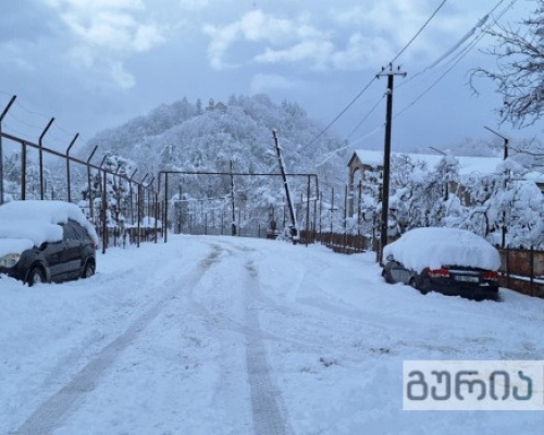 “რამდენად მზად ხვდება მუნიციპალიტეტი, ესაა საქმე, თორემ, სილამაზის აღქმა არ ეშლებათ გურულებს”