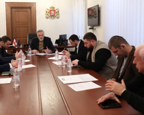 სპორტის კომიტეტმა 2025 წლის სამოქმედო გეგმა დაამტკიცა