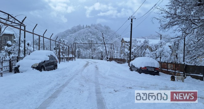 “რამდენად მზად ხვდება მუნიციპალიტეტი, ესაა საქმე, თორემ, სილამაზის აღქმა არ ეშლებათ გურულებს”